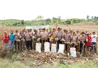 PANEN JAGUNG PERDANA POLRES ABDYA TAHUN 2025 SEBAGAI WUJUD SINERGI POLRI GUNA DUKUNG KETAHANAN PANGAN